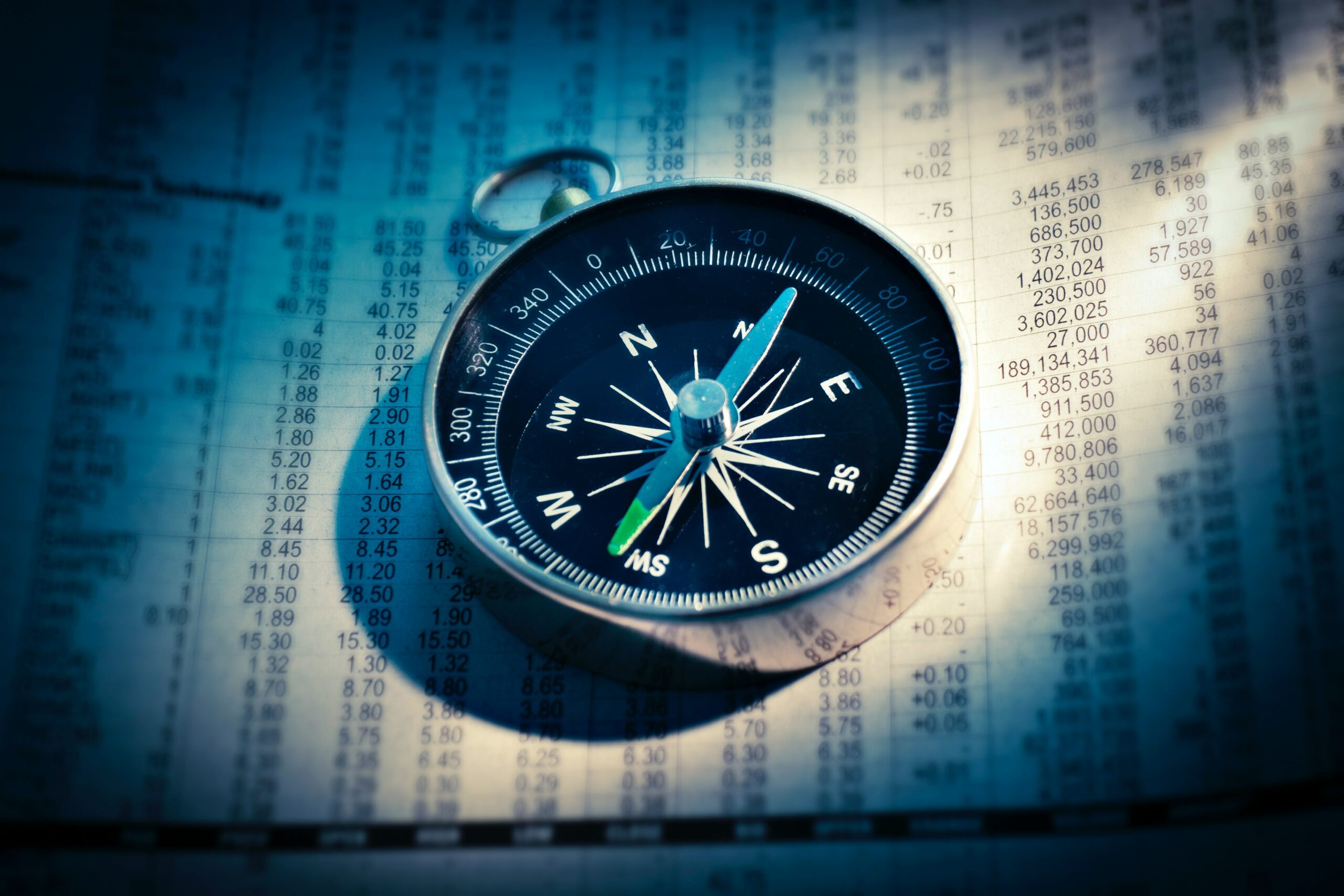 Renewed Sustainable Finance Plan (RSFP)