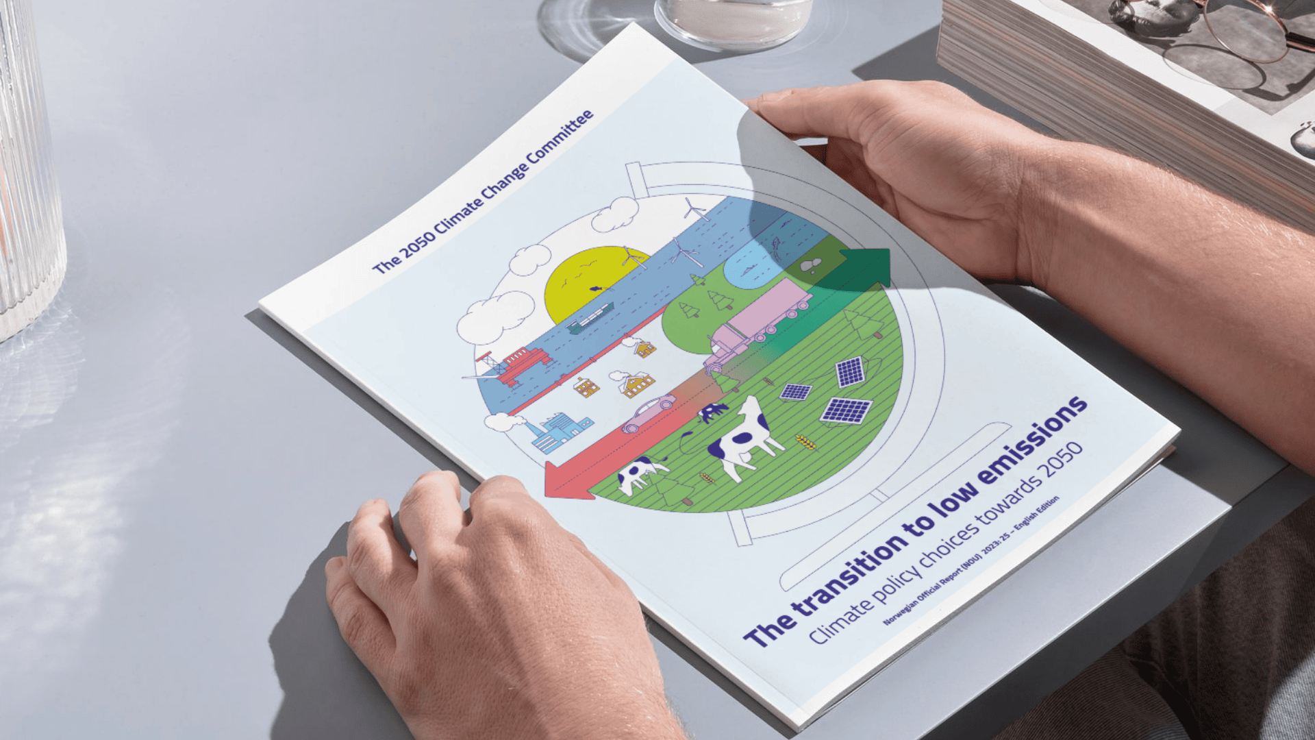 The transition to low emissions – climate policy choices towards 2050